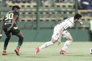 Palmeiras viaja para enfrentar Defensa y Justicia, que sofre com surto de Covid-19