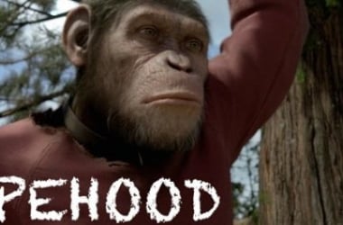 &#039;Apehood&#039;, doce años de la vida de un simio