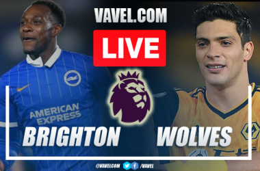 Goals and Highlights Brighton 0-1 Wolves: in Premier League
