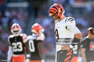 What is going wrong for the Cincinnati Bengals?  