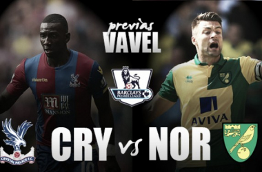 Crystal Palace - Norwich City Preview: Relegation six pointer on the cards at Selhurst