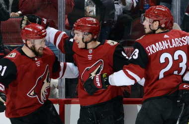 It's 2019: What's next for the Arizona Coyotes?
