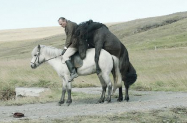 Desde el frío islandés: ‘De caballos y de hombres’