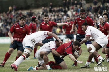 Los voluntariosos leones no pueden con Tonga