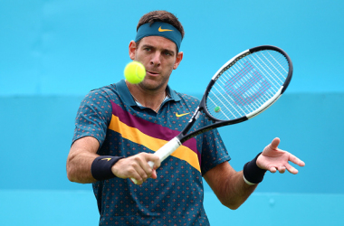 Juan Martin del Potro undergoes knee surgery