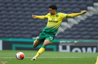 Jamal Lewis and Newcastle United: A good move for all involved