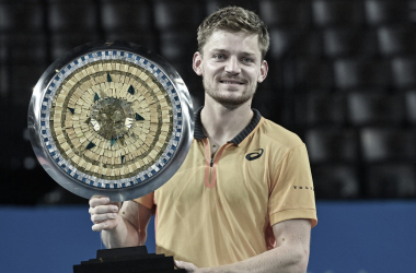 Goffin se corona en Montpellier