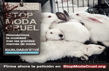 Igualdad Animal en contra de las grandes firmas de moda