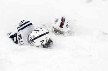 La Tundra de Buffalo