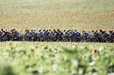 Tour de Francia 2014: etapa a etapa