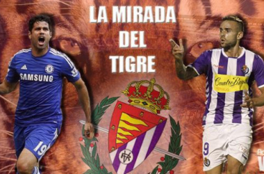 La mirada del tigre