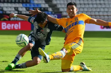 Previa Pachuca vs Tigres: Los Tuzos buscan acercarse, mientras que Tigres va muy bien