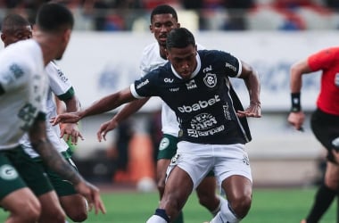 Foto: Divulgação/Remo