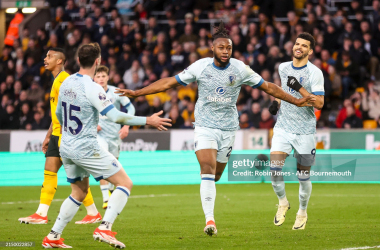 Wolves 0-1 Bournemouth: Ten-man Cherries hang on for three points