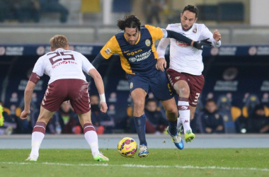 Torino - Verona, le ultime