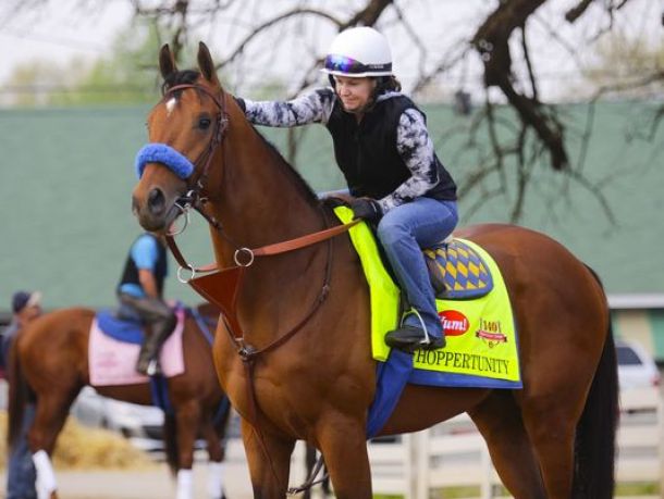 Hoppertunity Scratched Out Of The Kentucky Derby Due To Foot Problem