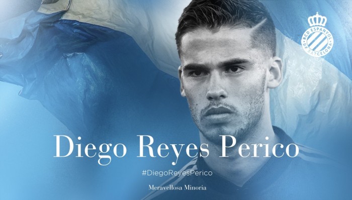 Diego Reyes, perico