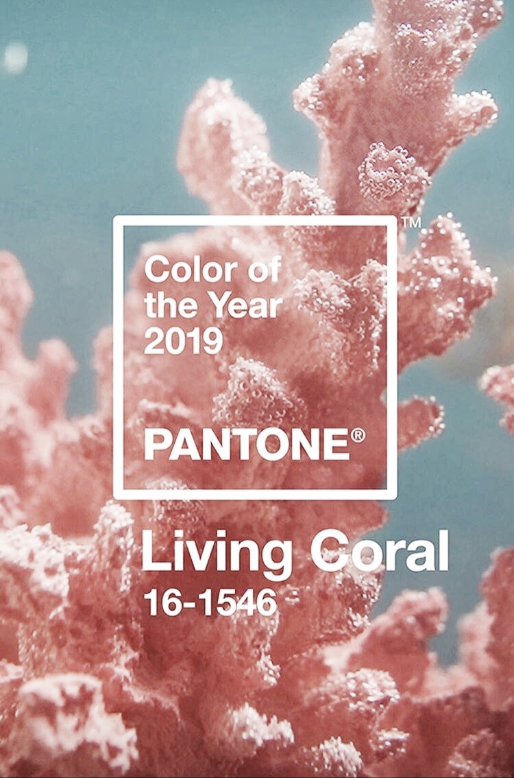 LIVING CORAL