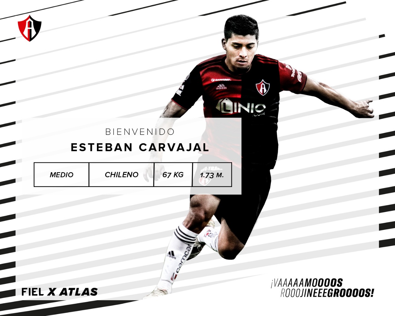 Esteban Carvajal es nuevo zorro Esteban Carvajal es nuevo zorro
