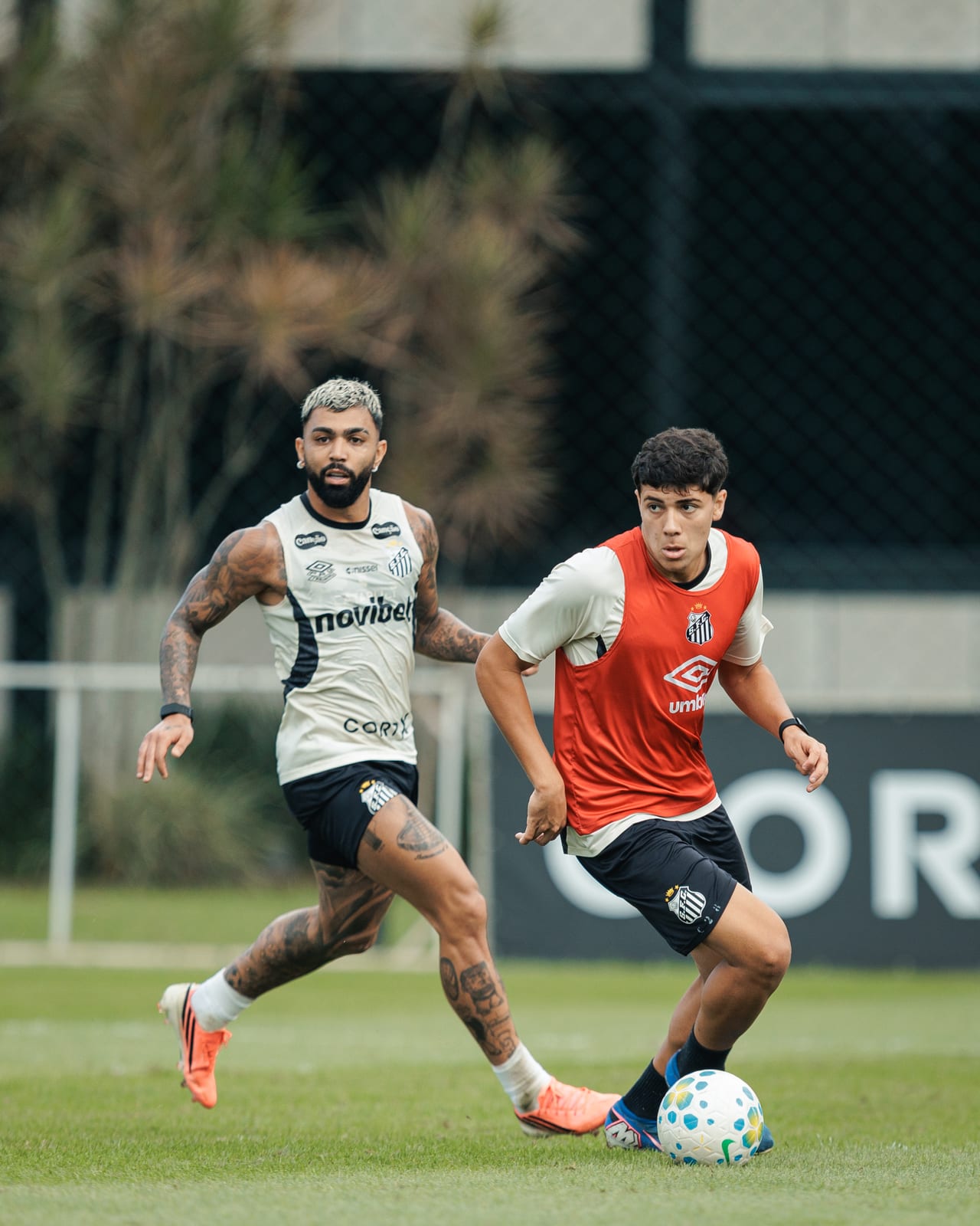 Kauã Miranda, do Santos, projeta reta final do Paulista Sub-17