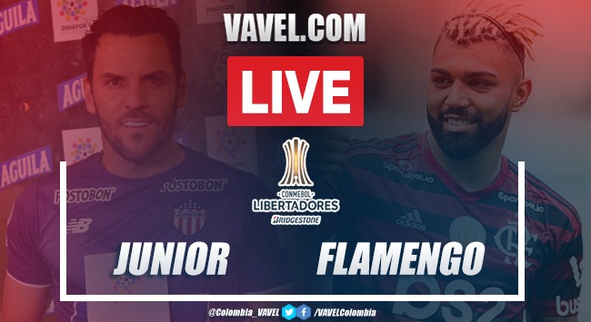 Resumen Junior vs Flamengo por Copa Libertadores (1-2)