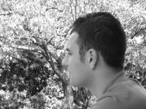 Marco Stacchiotti