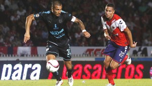 Gallos y Tiburones, por la supervivencia en primera división