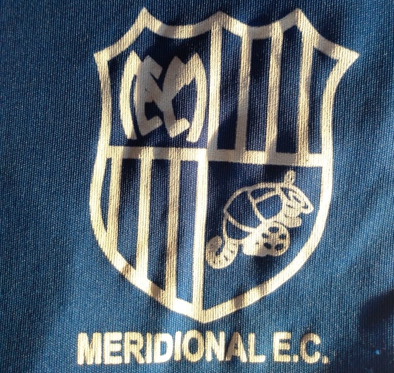 Clube de Conselheiro Lafaiete, Meridional recebe investimento para retomar futebol profissional Clube de Conselheiro Lafaiete, Meridional recebe investimento para retomar futebol profissional