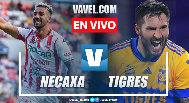 Gol y resumen Necaxa 0-1 Tigres en Liga MX