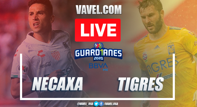 Goals and Highlights: Necaxa 0-3 Tigres, 2020 Liga MX Goals and Highlights: Necaxa 0-3 Tigres, 2020 Liga MX