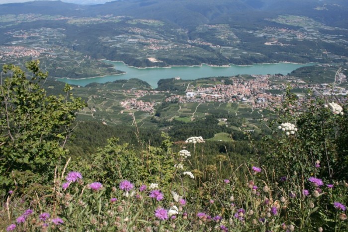 Giro del Trentino - Melinda 2016, 4° tappa: si decide la corsa Giro del Trentino - Melinda 2016, 4° tappa: si decide la corsa