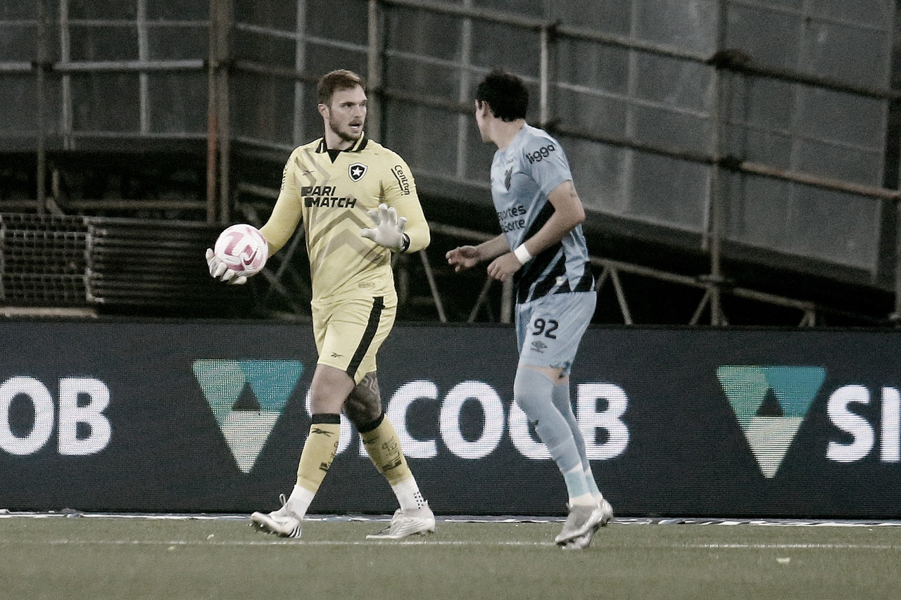 Análise: Lucas Perri, do Botafogo, é um dos melhores goleiros do Brasil em  2023