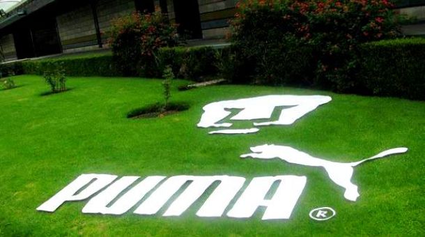 Adiós Puma: La firma deportiva alemana se despide de los Pumas
