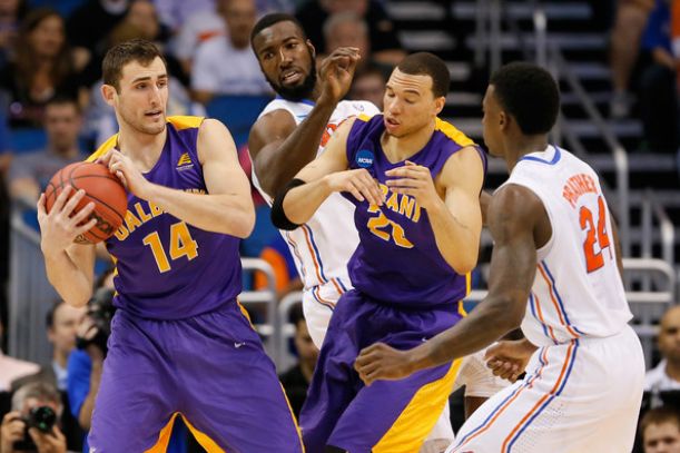 Albany Great Danes - Vavel.com