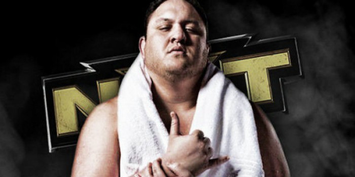 Samoa Joe Main Roster Update