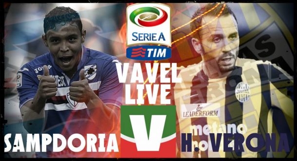 Live Sampdoria – Hellas Verona in risultato Serie A 2015/2016 (4-1): accorcia Ionita