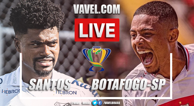 Gol e melhores momentos de Santos x Botafogo-SP pela Copa do Brasil (1-0)