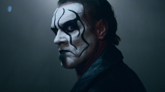 Sting Hinting at One More Match