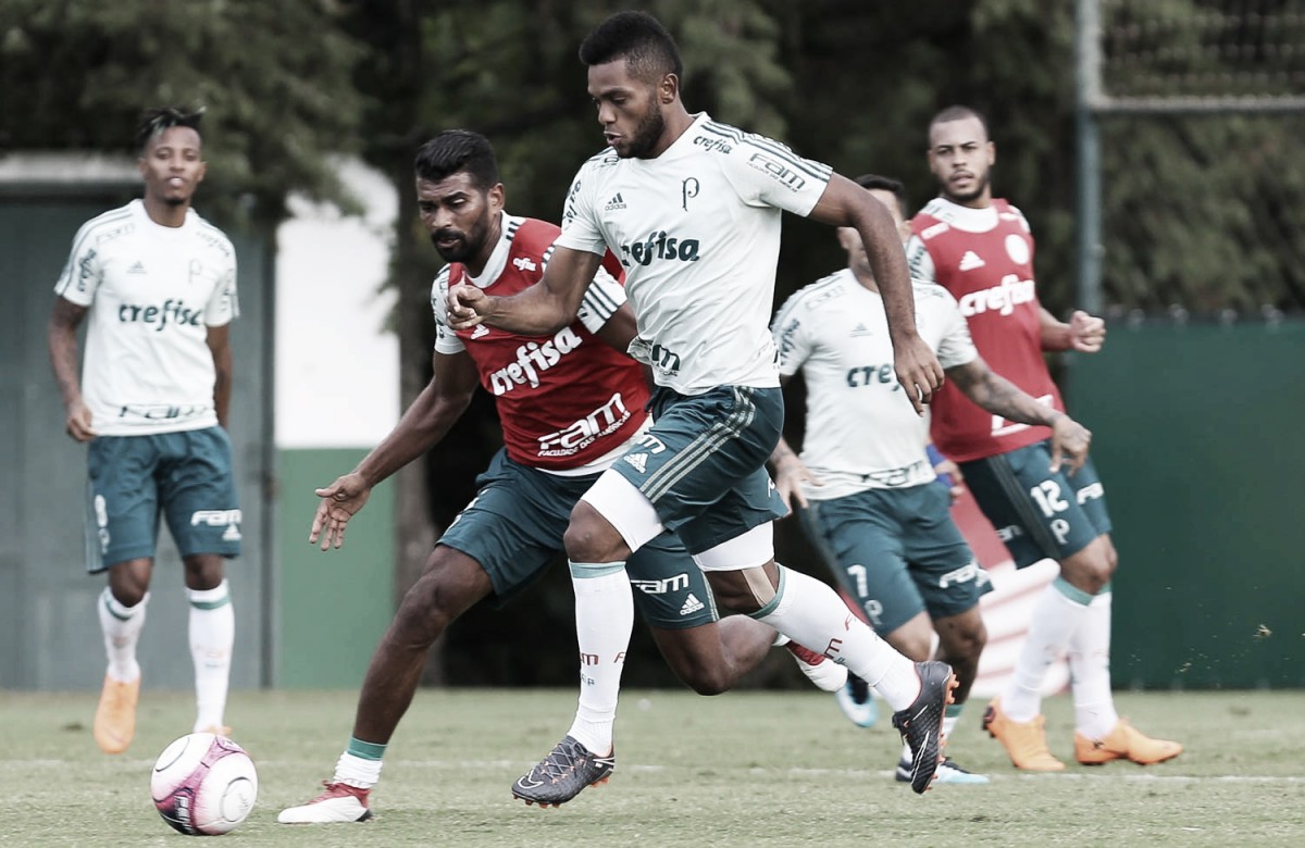 Copa Libertadores: tudo que você precisa saber sobre Junior Barranquilla x Palmeiras