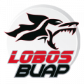 lobos-buap