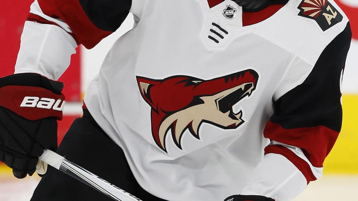 La NHL sanciona a Arizona Coyotes por violar la política de pruebas de la Combine