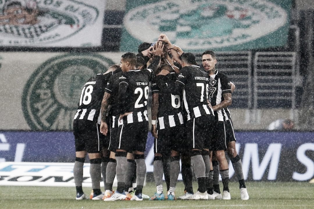 Buscando recuperação, Botafogo recebe Avaí pelo Brasileirão 
