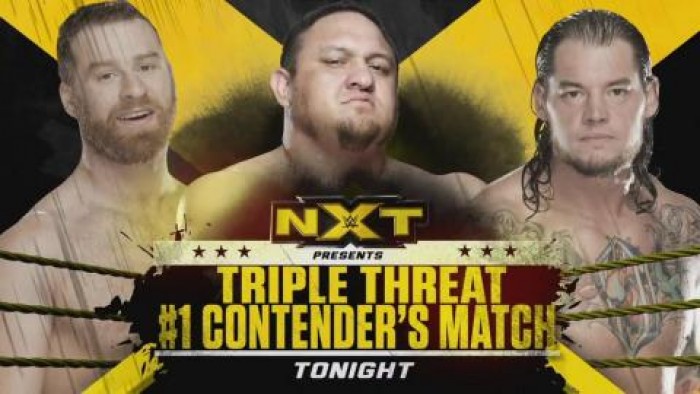 NXT Review 1/27/16
