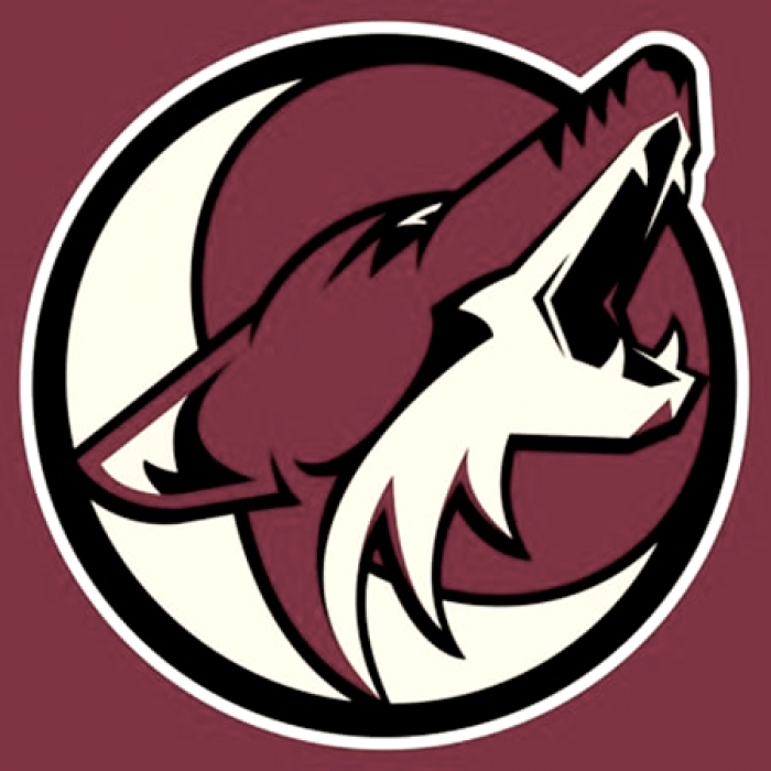 Arizona Coyotes Yotes-logo-bob-1731703234