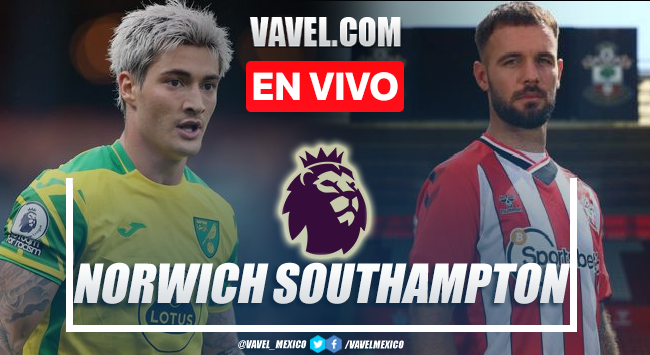 Goals and summary of Norwich City 2-1 Southampton in the Premier League | 11/20/2021
